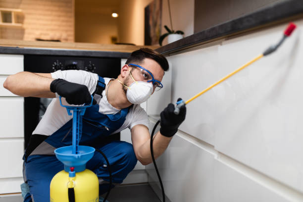 Best Pest Prevention Services  in Waurika, OK