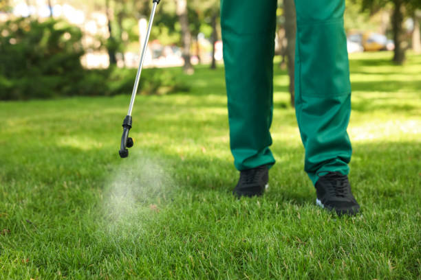 Wasp Removal Services in Waurika, OK