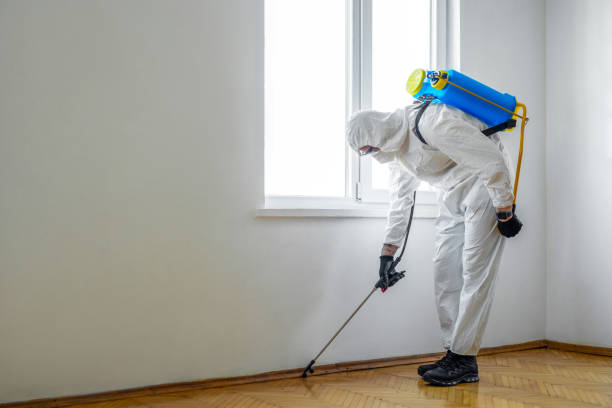 Best Pest Control for Businesses  in Waurika, OK