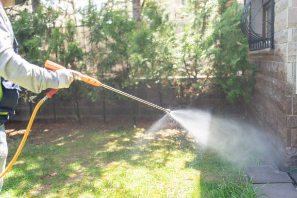 Best Local Pest Control Services  in Waurika, OK