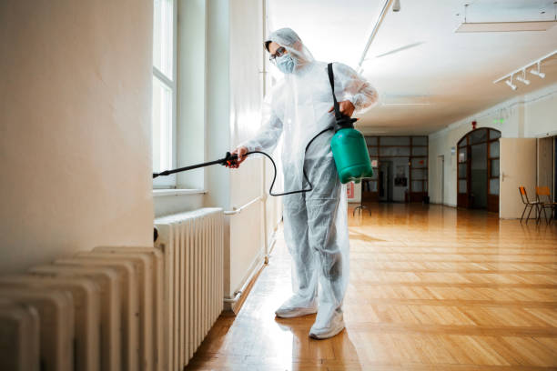 Best Pest Control for Homes  in Waurika, OK