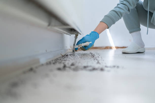 Trusted Waurika, OK Pest Control Experts