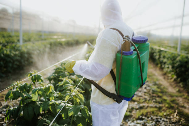 Best Pest Control Near Me  in Waurika, OK